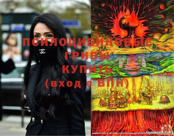 трава Коряжма