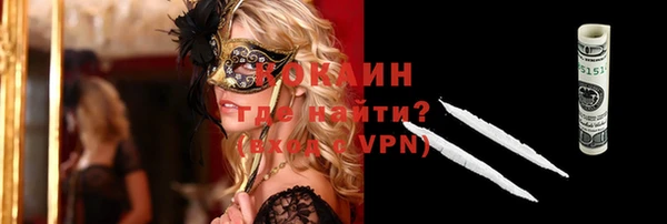 трава Коряжма
