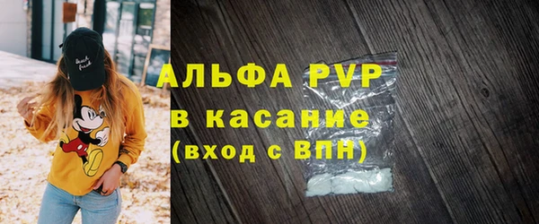 амф Козельск