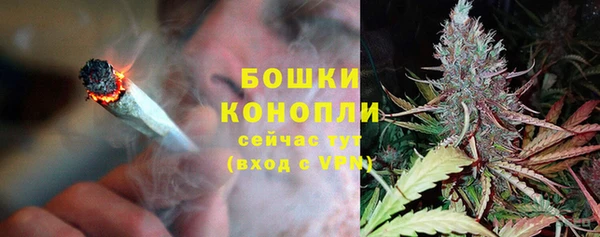 трава Коряжма