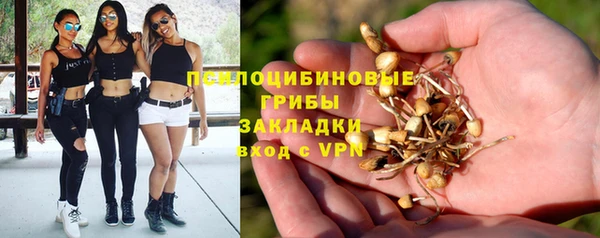 гидропоника Красноперекопск